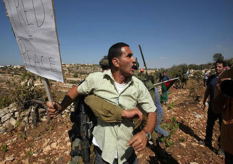 al-wide-palestinian-demonstrator-olive-trees-20121016204733184327-620x34952918