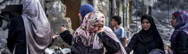 Faixa de Gaza: 19 fotos tiradas durante dia de trégua